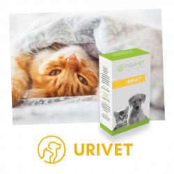 URIVET - Soutient urinaire